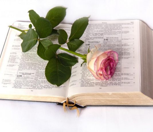 Tập Tành Sự Tin Kính Tập Tành Sự Tin Kính