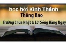 Thông Báo về Trường Chúa Nhật và Lời Sống Hằng Ngày