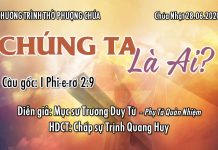 Chúa Nhật 28-06-2020