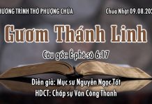 Chúa Nhật 09-08-2020