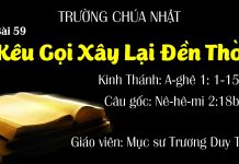 Trường Chúa Nhật 16-08-2020