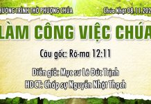 Chúa Nhật 08-11-2020