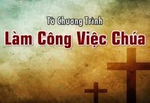Tờ Chương Trình 15-11-2020