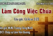 Chúa Nhật 15-11-2020
