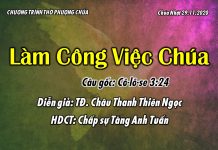Chúa Nhật 29-11-2020