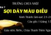 Chúa Nhật 28-02-2021 Trường Chúa Nhật