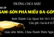 Trường Chúa Nhật 06-06-2021