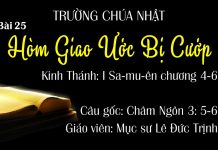 Trường Chúa Nhật 11-07-2021