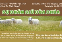 Chúa nhật 15-08-2021