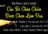 Trường Chúa Nhật 22-08-2021