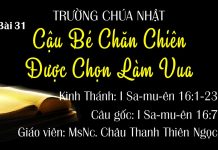 Trường Chúa Nhật 22-08-2021