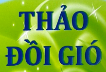 Thảo Đồi Gió