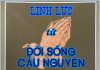 Linh Lực Từ Đời Sống Cầu Nguyện
