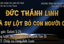 Chúa nhật 29-10-2023