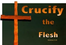 Chúa Thánh Linh Và Sự Lột Bỏ Con Người Cũ