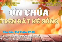 Chúa nhật 05-11-2023