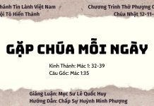 Chúa nhật 12-11-2023