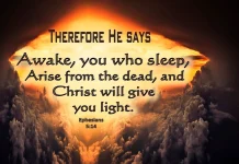 Hãy Chỗi Dậy Đi Lên