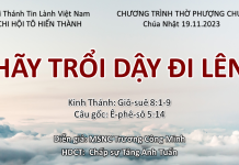 Chúa nhật 19-11-2023