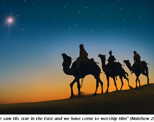 Tìm Kiếm Để Tôn Thờ