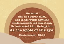 Sự Bảo Vệ Của Chúa