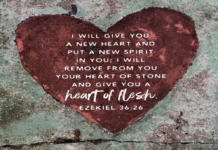 Được Dựng Nên Mới