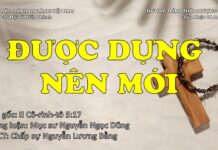 Chúa nhật 07-04-2024