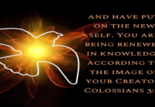 Được Dựng Nên Mới