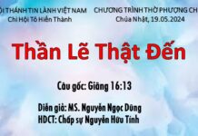 Chúa nhật 19-05-2024