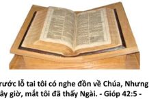 Gặp Chúa-Câu Trả Lời Cho Khổ Đau