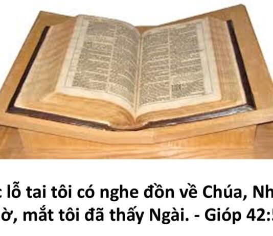 Gặp Chúa-Câu Trả Lời Cho Khổ Đau