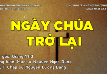 Chúa Nhật 02-11-2025
