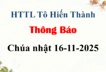 Thông Báo Chúa nhật 16-11-2025