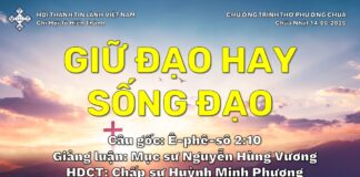 Chúa Nhật 14-06-2026
