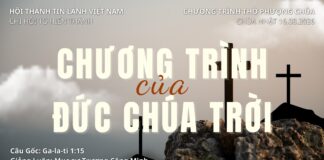 Chúa Nhật 16-08-2026